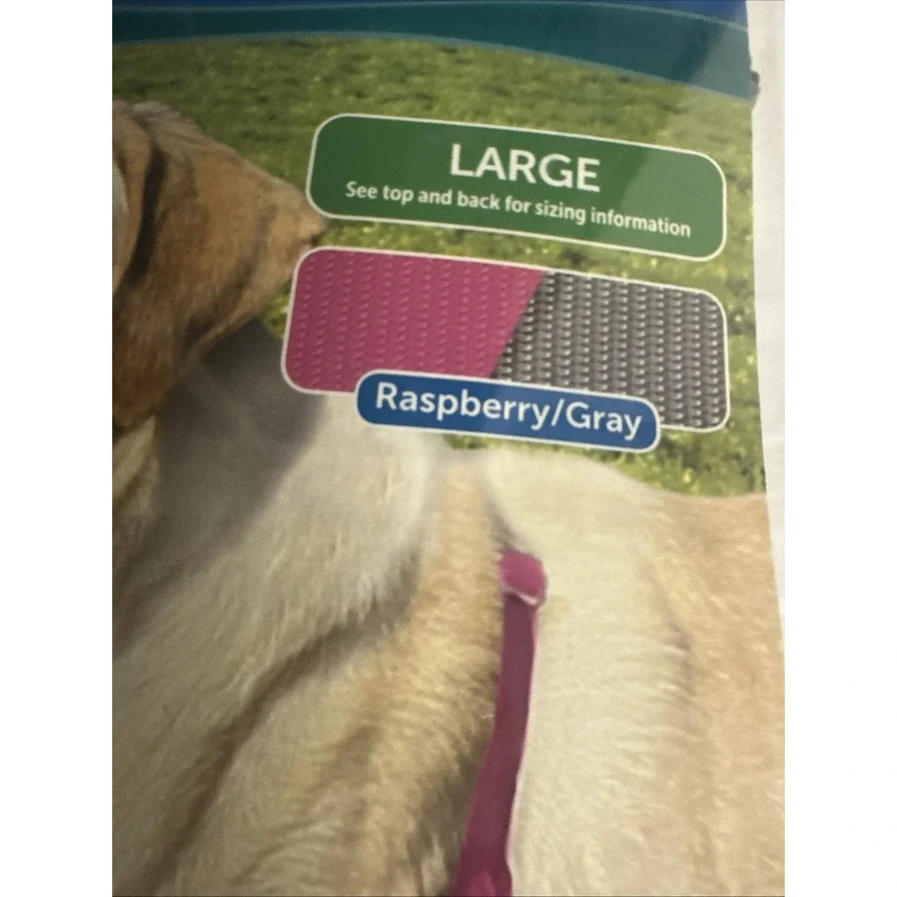 PetSafe easy walk